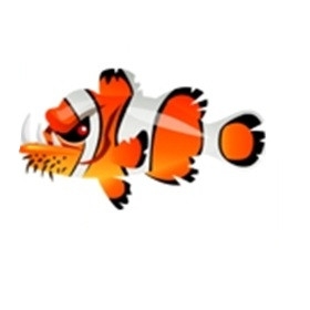 Bullheaded Clownfish